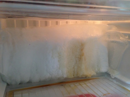 삼성 냉장고 냉장실 얼음