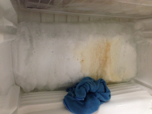 삼성 냉장고 냉장실 얼음